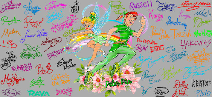 16oz Disney style-D-1310